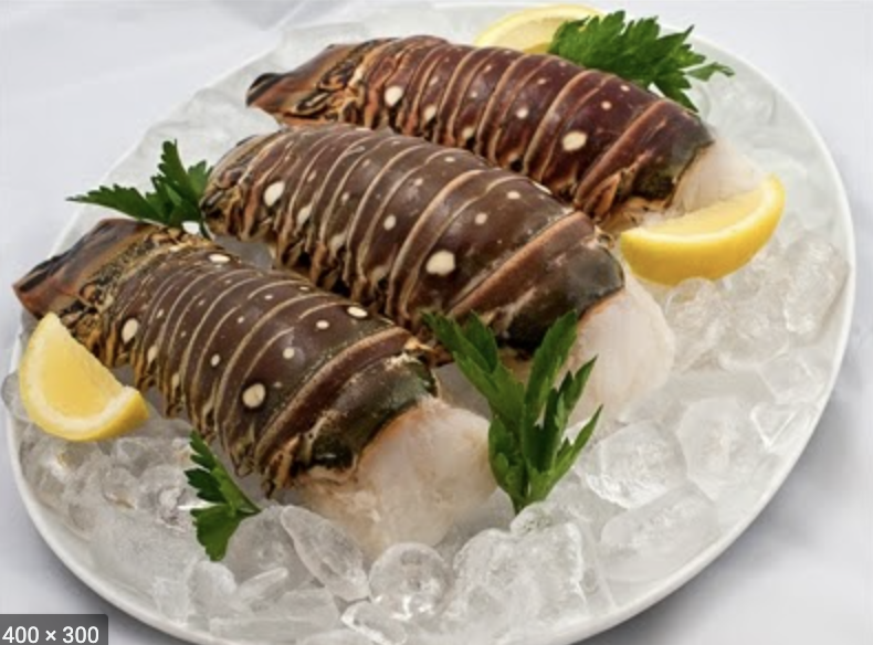 Spiny Lobster Tails (3 pack)