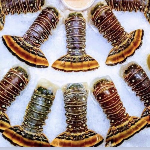Spiny Lobster Tails